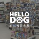 Hello Dog 이미지