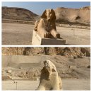 고대1111 | 이집트여행[룩소르유적투어 하루일정 후기with 모마투어]