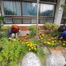 백운동 주민자치센터 이미지