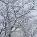 인제16-2 이미지