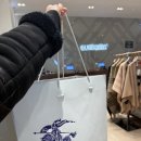 아라육로58번길-L | [쇼핑]김포현대아울렛 버버리 / 코치 구매 후기