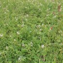 부산광역시 해운대구 이미지