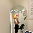 에카요가 - 용인시 수지구 현암로 153 | 응암동 필라테스 에카필라테스앤요가 꾸준히 다녀본 후기