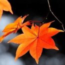 아침을 여는 음악 11월 6일(월요일) 이미지