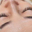 세인자연 이미지