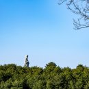원통 양양방향 | 속초 근교 여행 코스, 양양 낙산사｜유래·주차·관람코스·주변 맛집·가볼만한 곳 정리