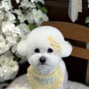 애니살롱 본점 이미지