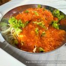 연안애견 이미지