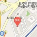 푸른사과치과의원 티스토리