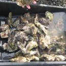 산호세 농장 이미지