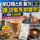원유로스페셜티크란츠 | 부다페스트 물가 왜 이렇게 비쌀까? 커피 9,000원 영수증으로 보는 헝가리 인플레이션 (2026년 7월)