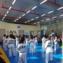 용인대파란태권도 이미지