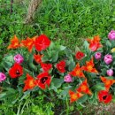 인보목장 이미지