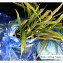 고라농장 이미지