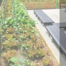 킹덤게스트하우스 이미지