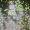 동현경로당 이미지