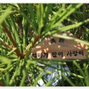 택수목장 이미지