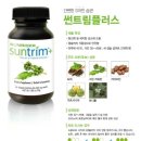 썬플러스 이미지