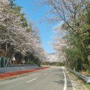 불태산농장 이미지