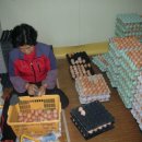 새벌농장 이미지