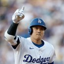 홈런 코리아 이미지