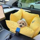 스윗테일 이미지