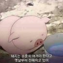 13번가