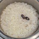 황금코다리 나운점 | 군산 나운동 맛집 황금코다리 군산나운은파점 방문기