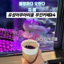 배울1로(유성-145) | 물고기 분양 카페 후기 대전 봉명동 카페 이색체험카페 유성아쿠아리움 무인카페24 수족관데이트