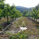 은원농장 이미지