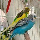 부천호수식물원 수피아 이미지