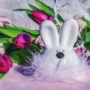 현대볼트 이미지