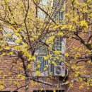 꽃의계절 이미지