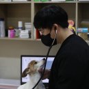 누리봄동물병원 이미지