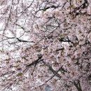 진호수산.회 이미지