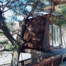 보물섬캠핑장 이미지