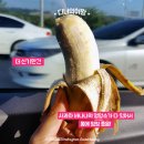 바나플