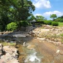 숲속 짱구네 이미지