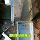 황소미가
