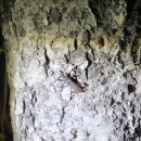 가족근린공원 이미지