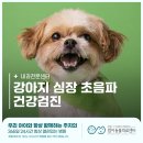 범어동물의료센터 | 수성구야간동물병원 강아지 심장 초음파 건강검진, 범어동물의료센터