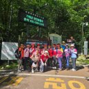 메밀사랑 이미지