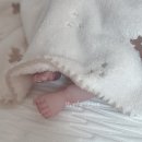 (주)하이얀 이미지