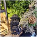 슈올즈 하단점 이미지