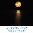 피나는 노력으로 한 | 시린 잇몸? 피나는 잇몸? 잇몸 건강 지키는 법!