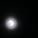 새연사