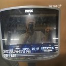 다이어트 한약 선이고은 한의원 후기 1단계 선식3일 -4kg!! + 내돈내산