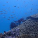 비자나무아래집 이미지