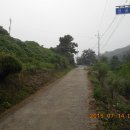 새터말 Daum카페