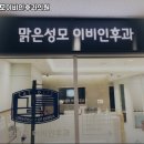 맑은성모이비인후과의원 이미지